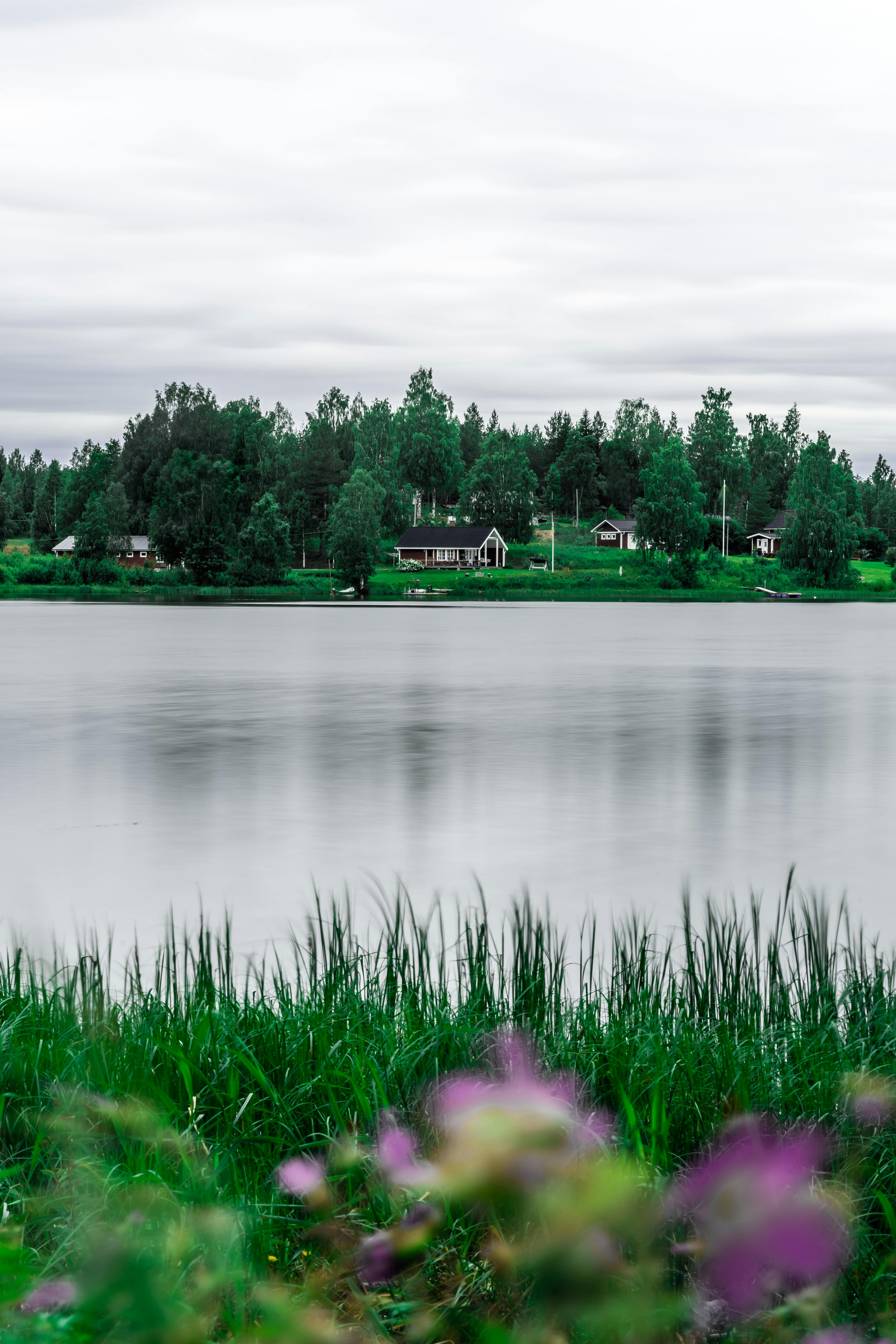湖畔景色宁静，绿植郁郁葱葱，海水宁静，房屋在远处