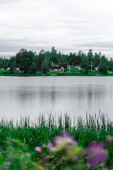 湖畔景色宁静，绿植郁郁葱葱，海水宁静，房屋在远处