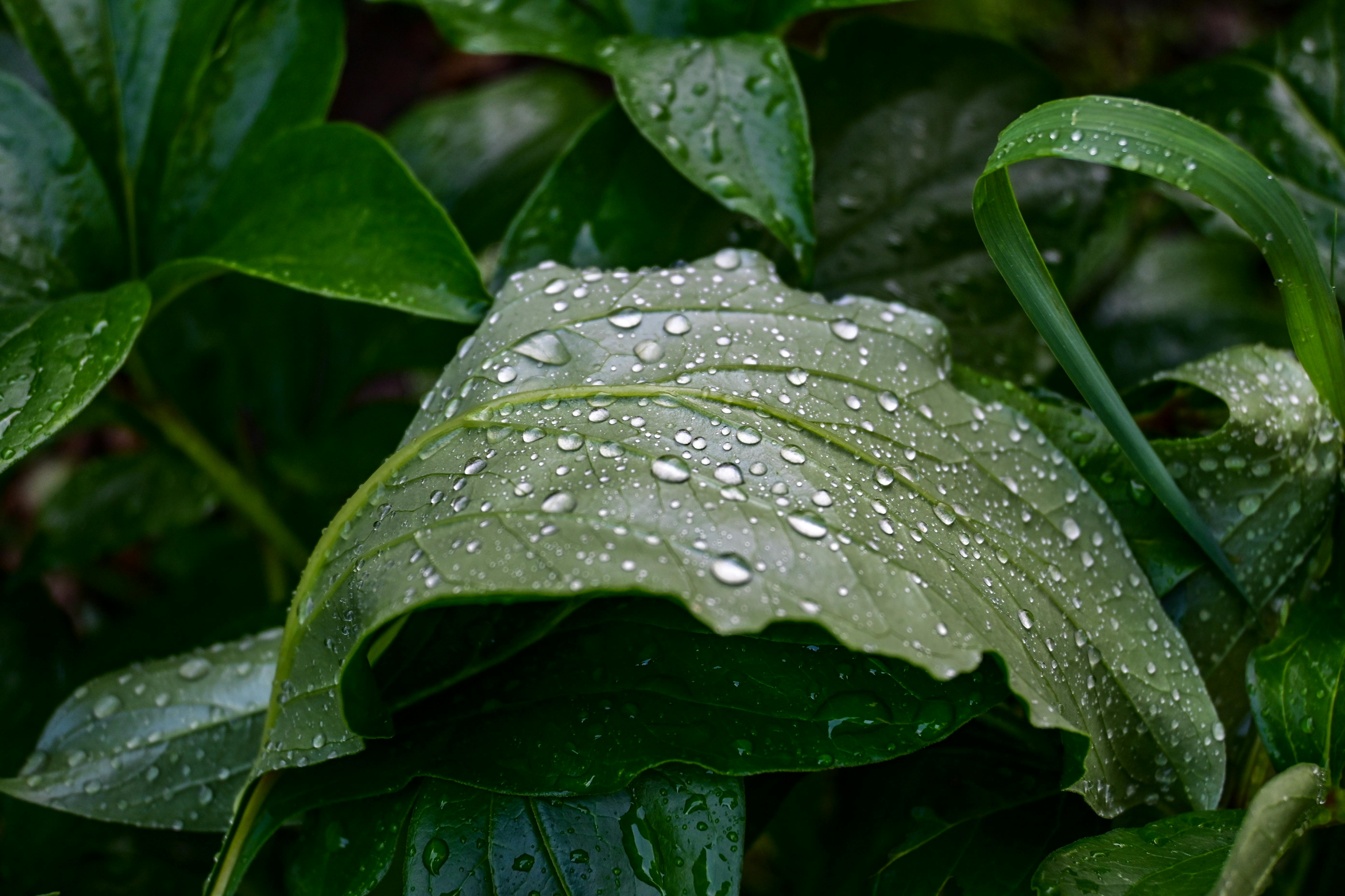 Hydratation : les 6 erreurs à éviter pour une santé et une peau éclatantes