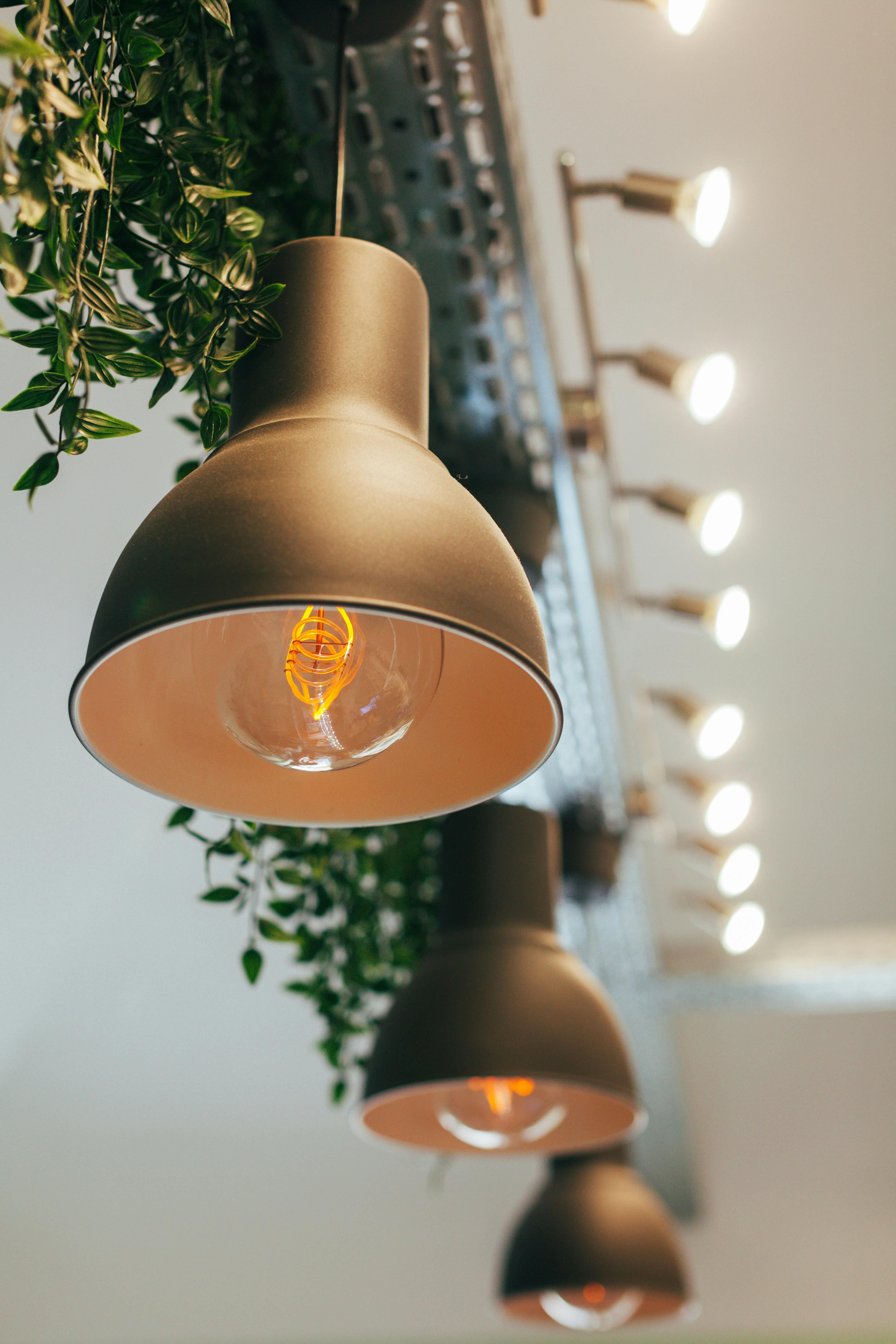 Hanging Golden Lamps · Free Stock Photo