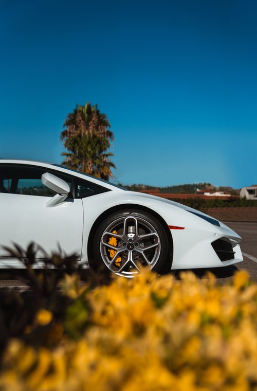 Free A luxury white sports car parked outdoors with palm trees and bright flowers under a clear blue sky. Stock Photo