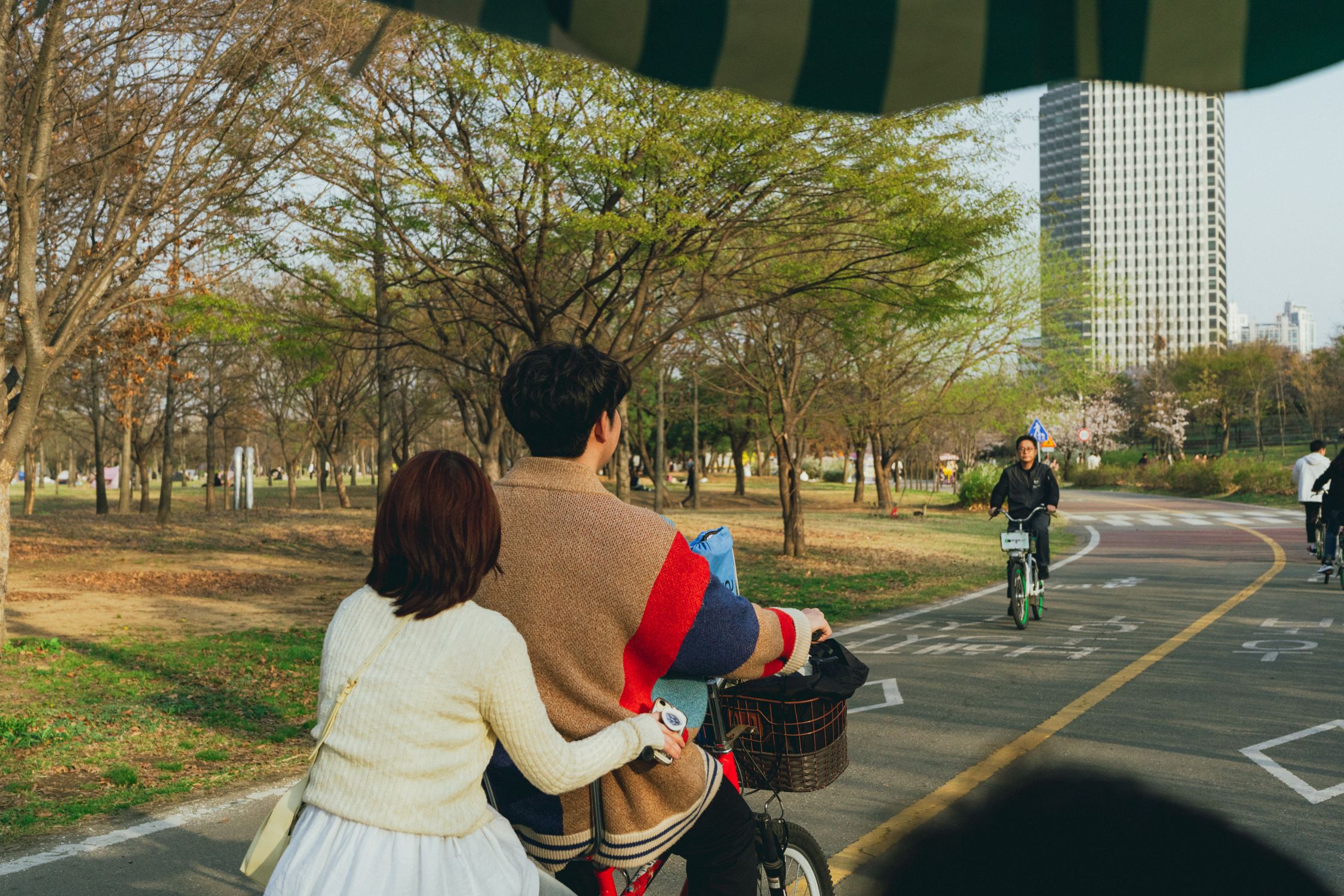 Cycling in a Seoul Park During Springtime · Free Stock Photo