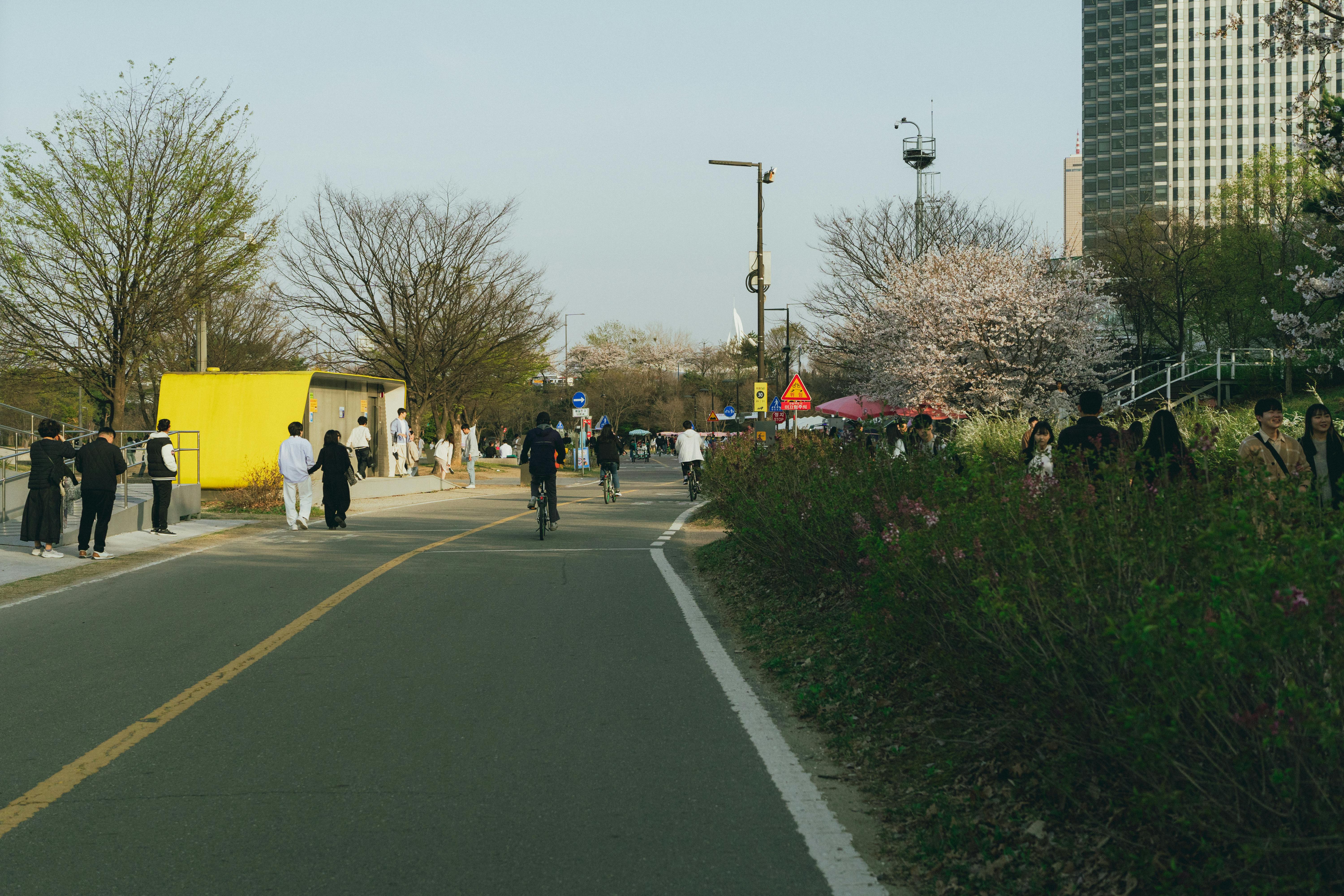 A lively street scene in Seoul during spring with cherry blossoms and people enjoying the park.