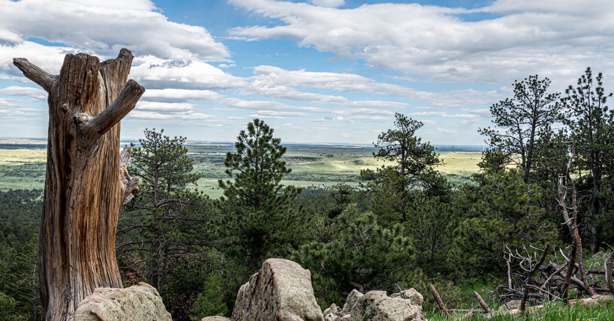 Breathtaking view of a rocky mountain landscape with lush greenery and dramatic sky.