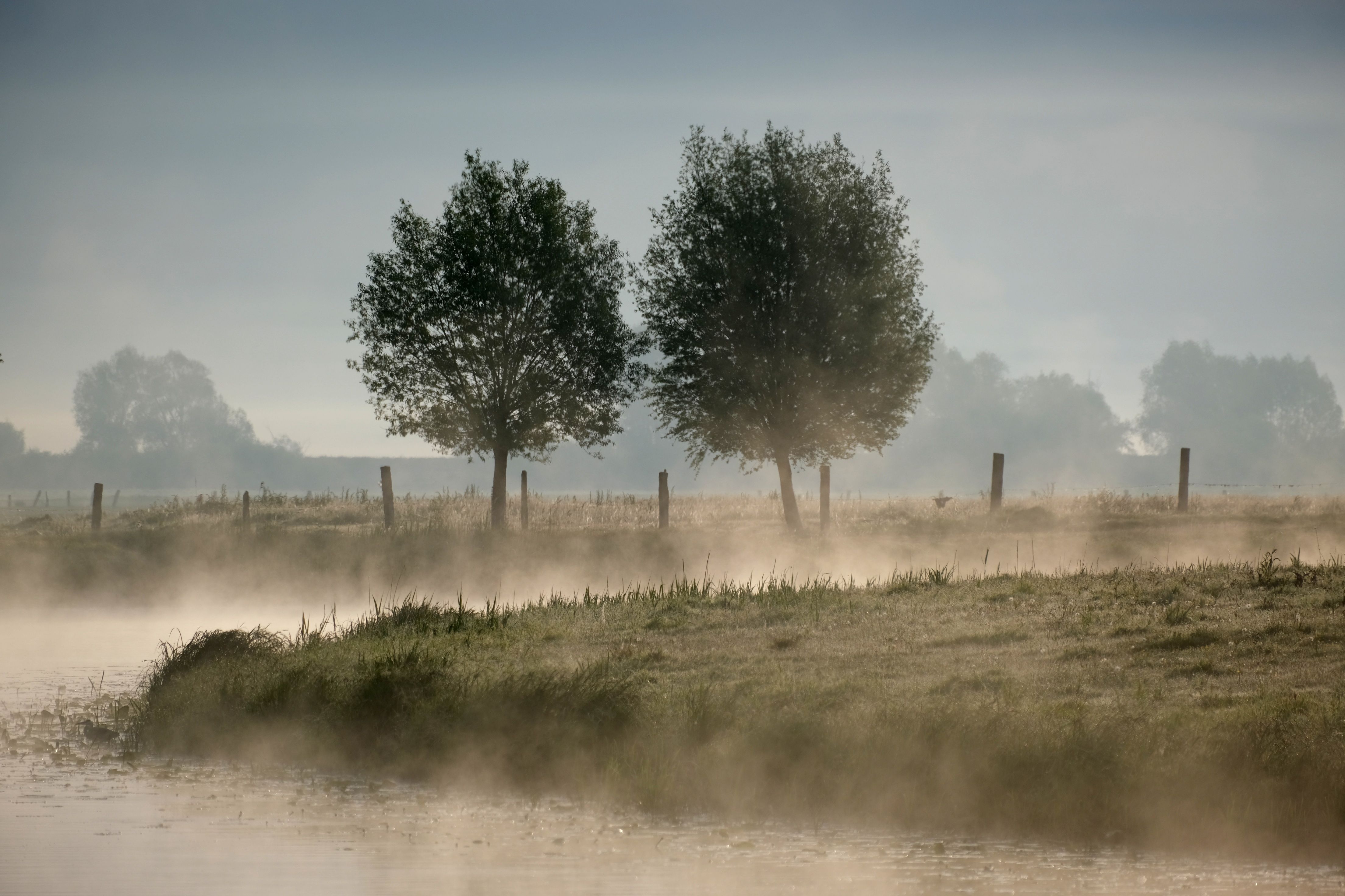 Flusslandschaft mit Nebel