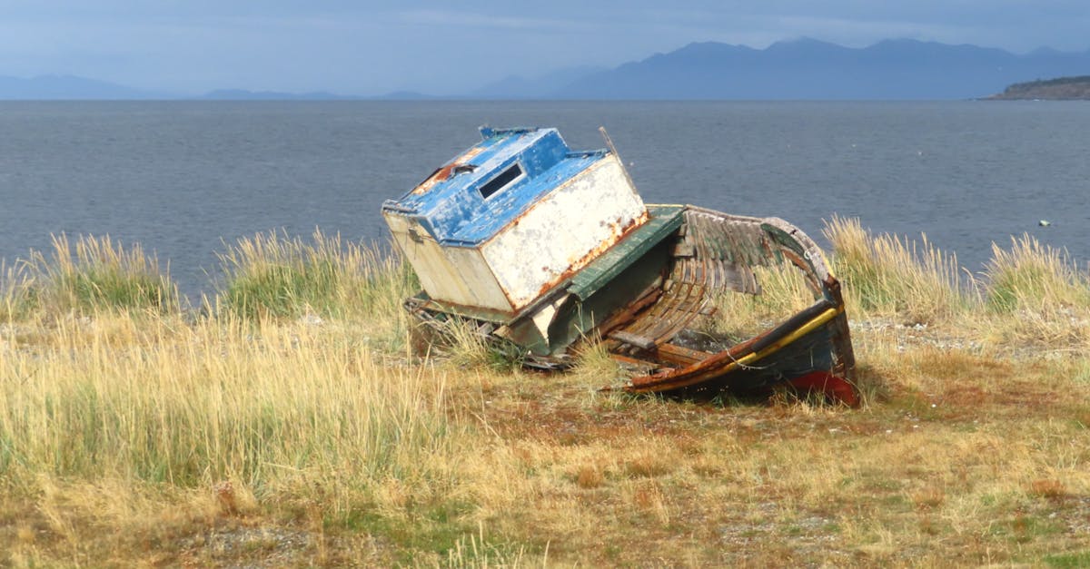 Punta Arenas
