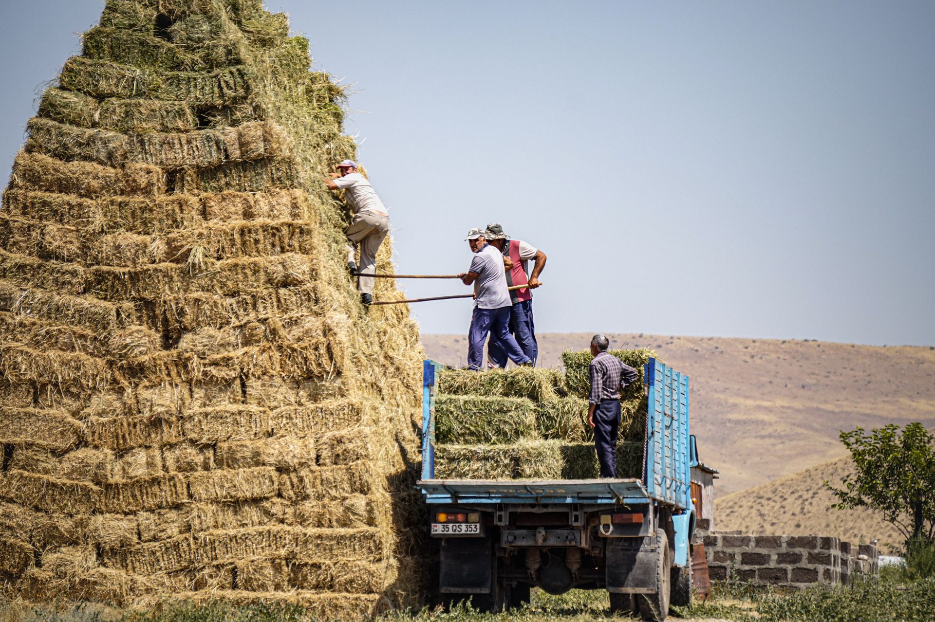 Farmers stacking hay bales on a truck in rural Armenia, showcasing agricultural labor and teamwork under a clear sky.