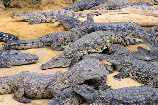 La Ferrière-aux-Étangs