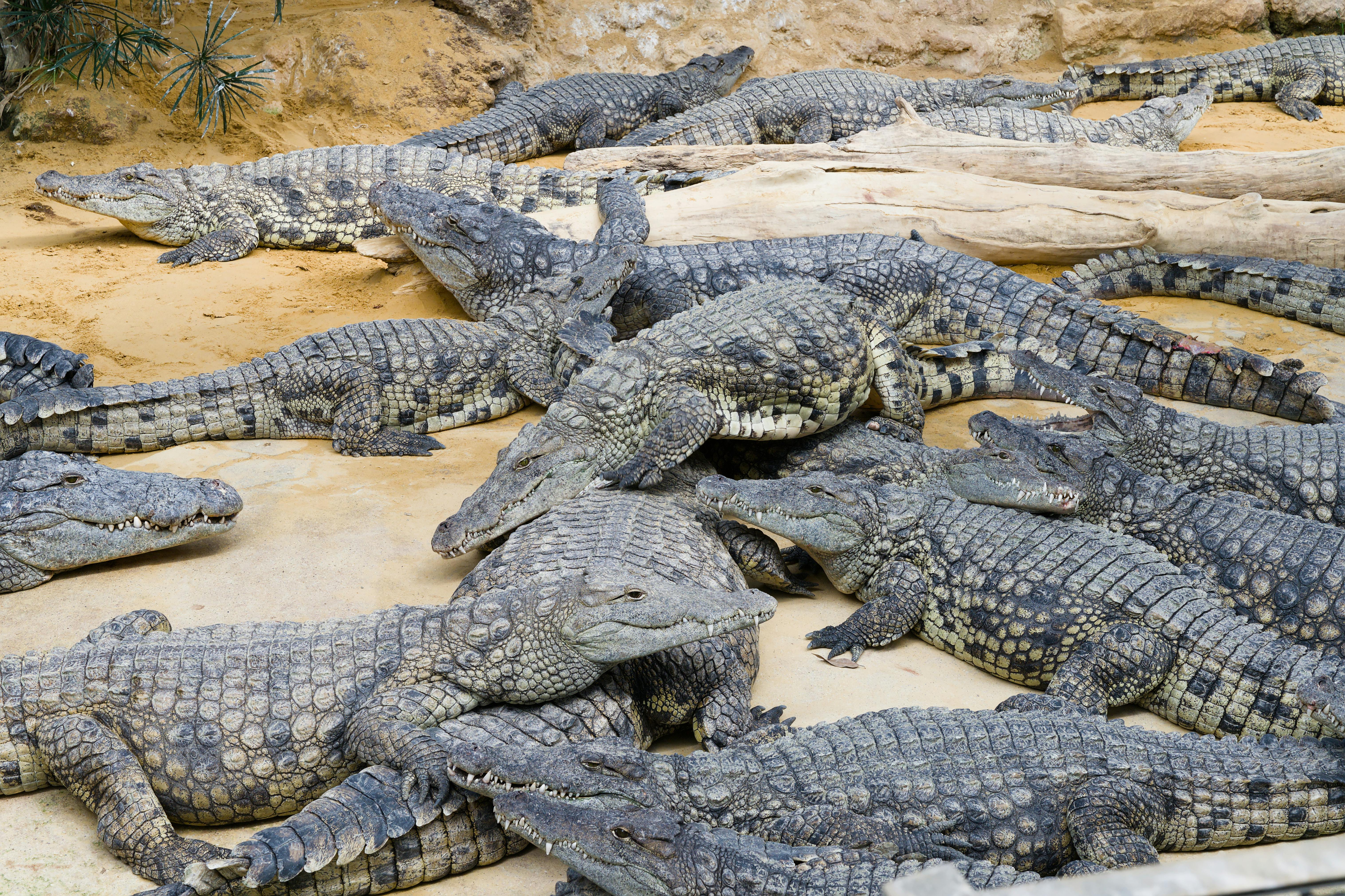 Partage Des Biens Après Le Divorce : Comment Assurer Vos Droits ? 5 Les Droits des Conjoints en Cas de Divorce : Ce Que Vous Devez Savoir sur le Partage des Biens