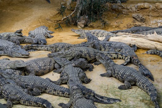 La Ferrière-aux-Étangs