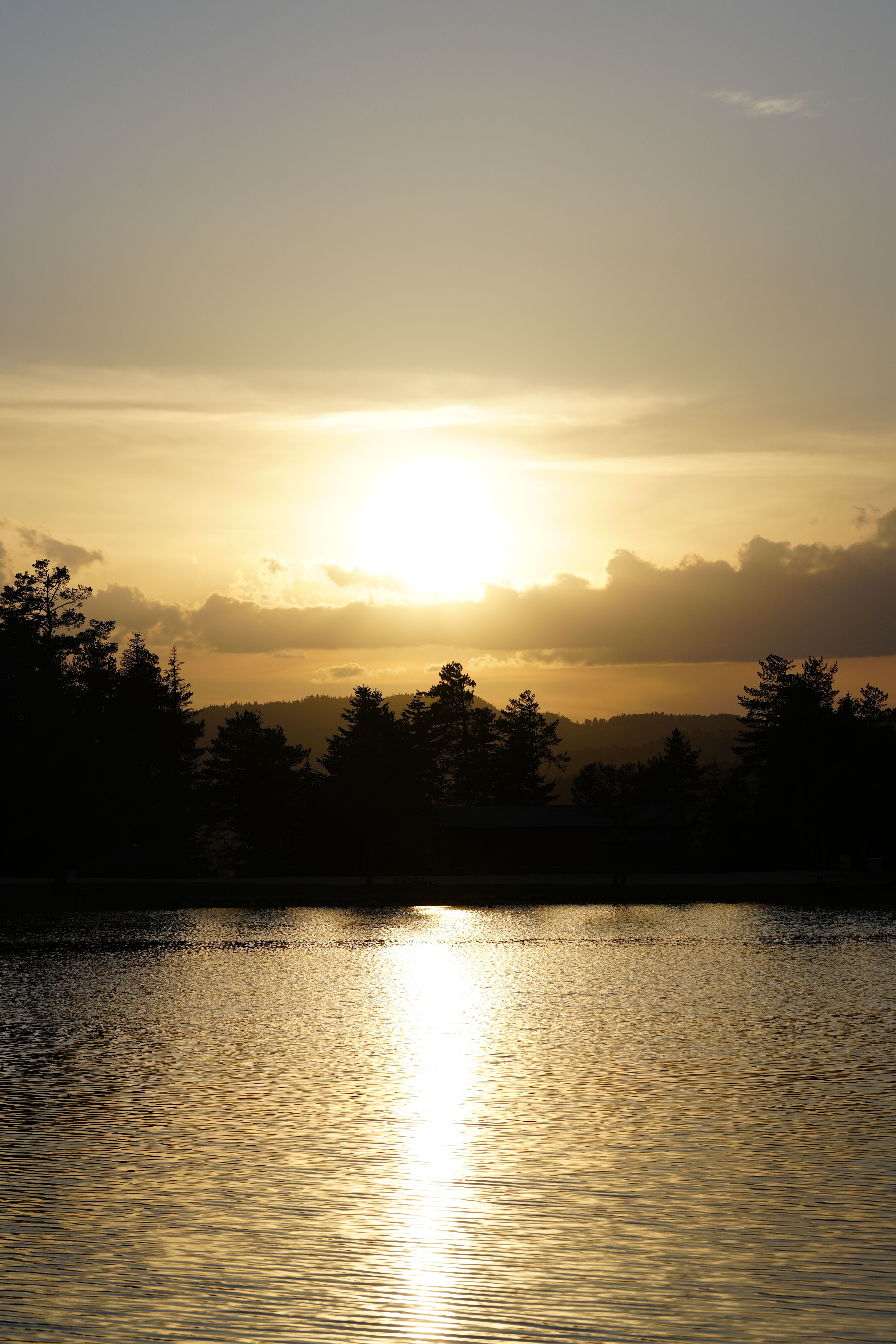 Serene Sunset Over Calm Lake with Silhouetted Trees · Free Stock Photo