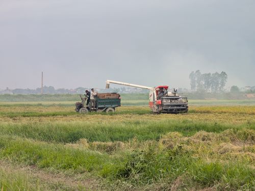 Free A harvester transferring crops to a truck in an expansive green field, showcasing rural agriculture. Stock Photo