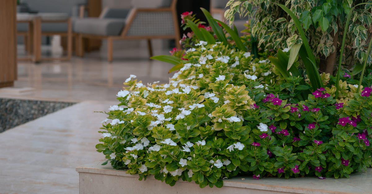 Séjour Bien-être : Hôtels avec Piscine à Dubaï