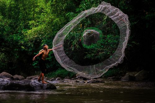 Free A traditional fisherman skillfully casts a net in a lush Indonesian jungle river setting. Stock Photo