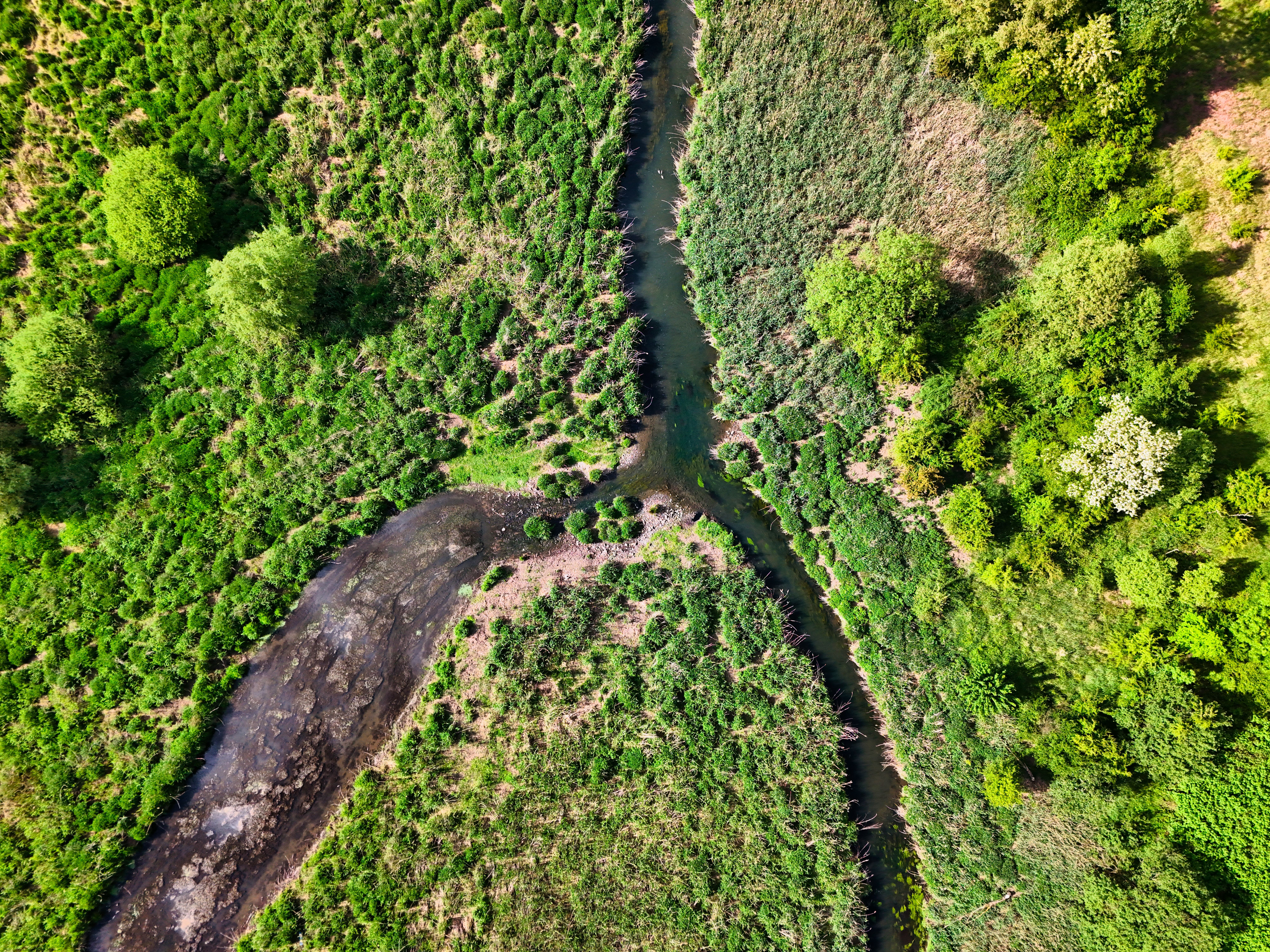 Ecological diversity and environmental monitoring