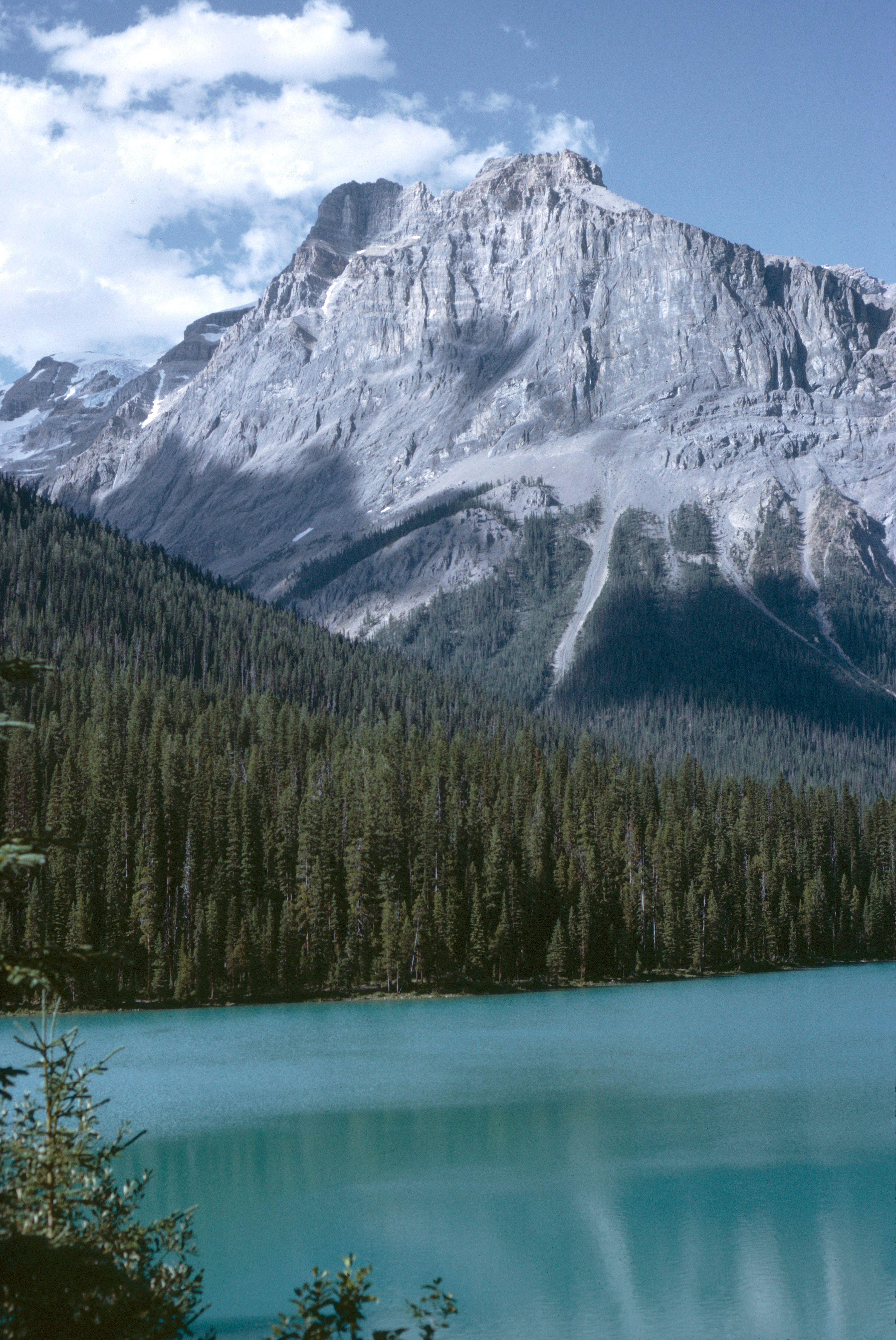 Stunning Mountain Lake with Pine Forest · Free Stock Photo
