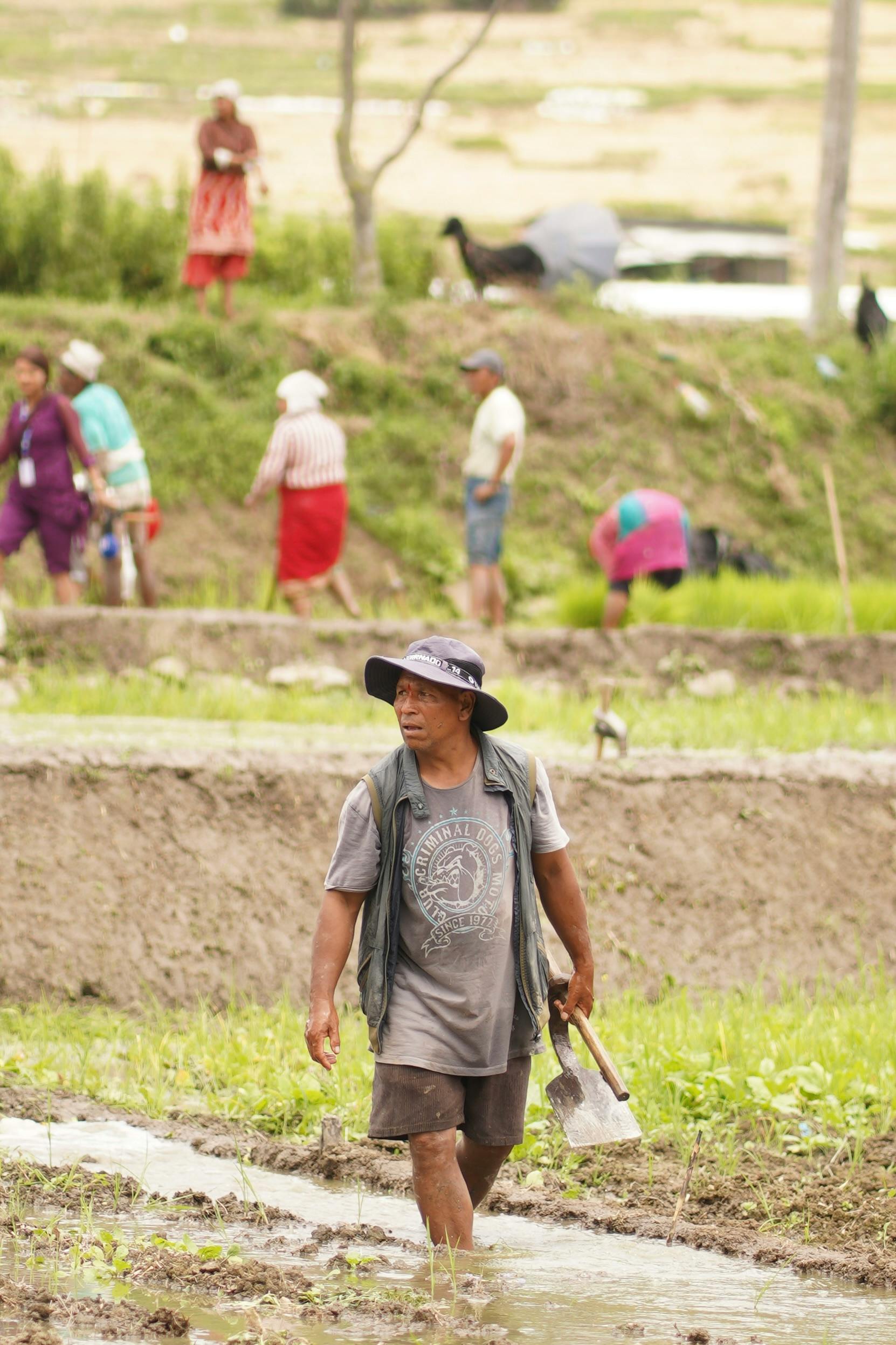 Biofarm background image