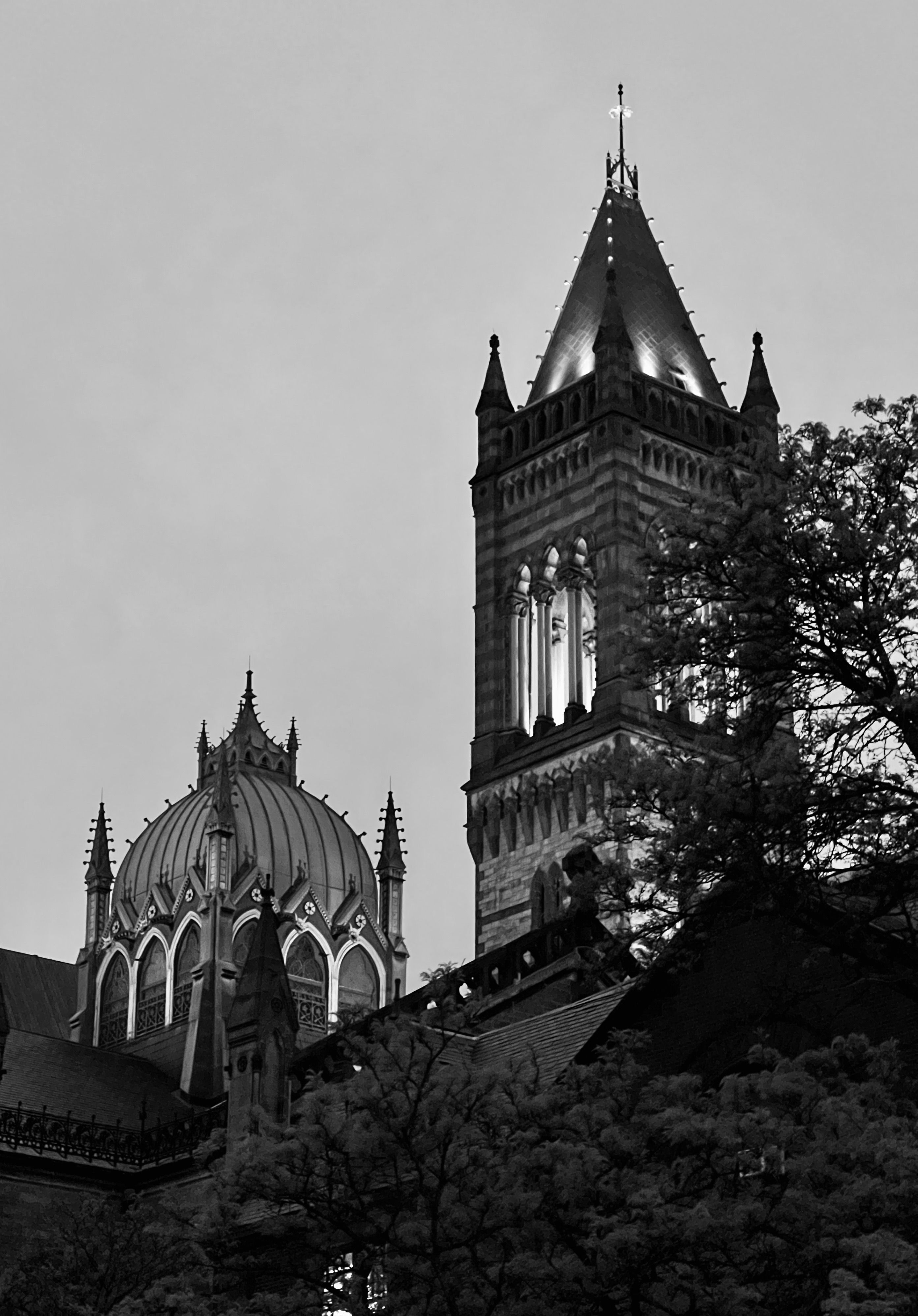 Gothic Architecture in Black and White · Free Stock Photo