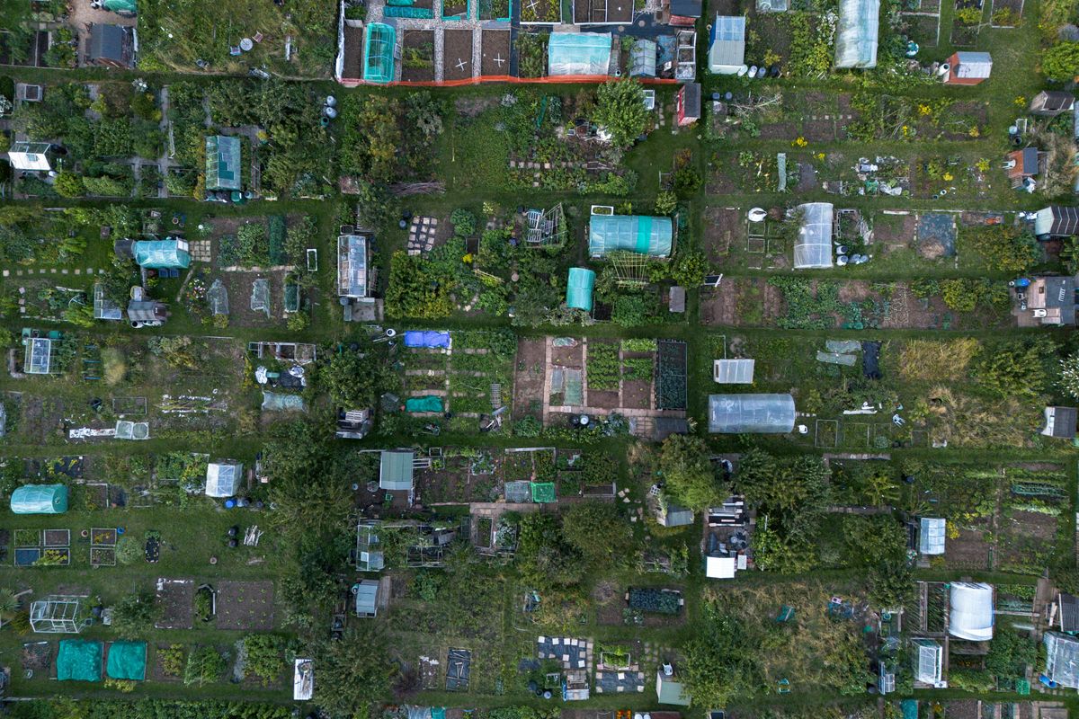 Aerial view of community garden plots, photo by Jordan Coleman on Pexels