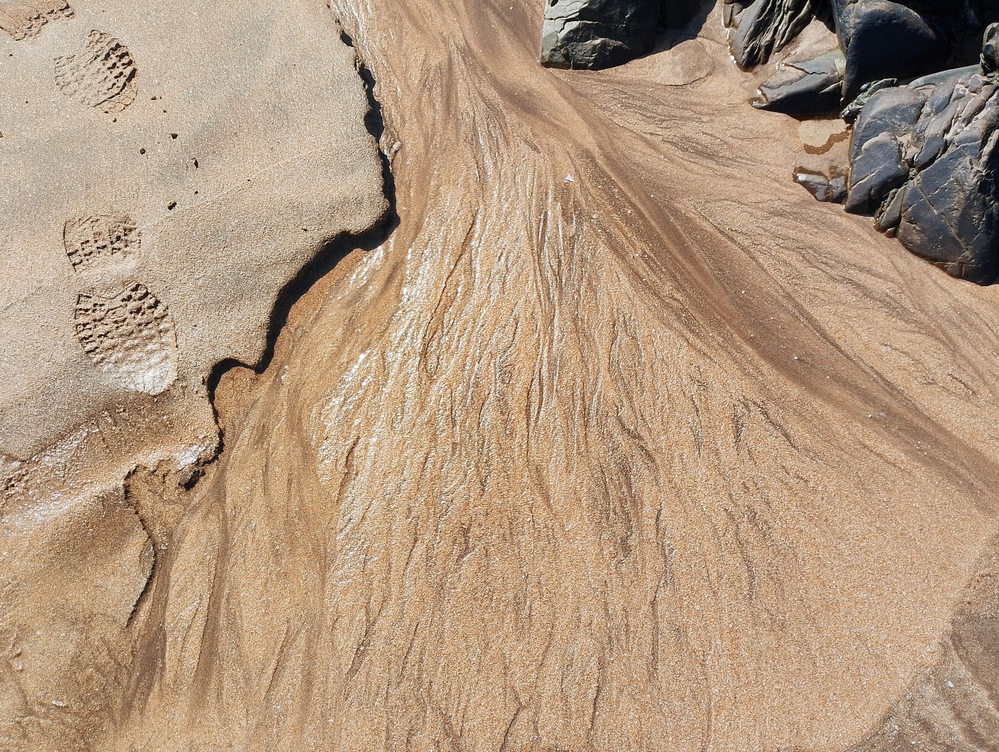 Sedment Pattern Footprints and Sediment Patterns on Moroccan Beach · Free Stock Photo