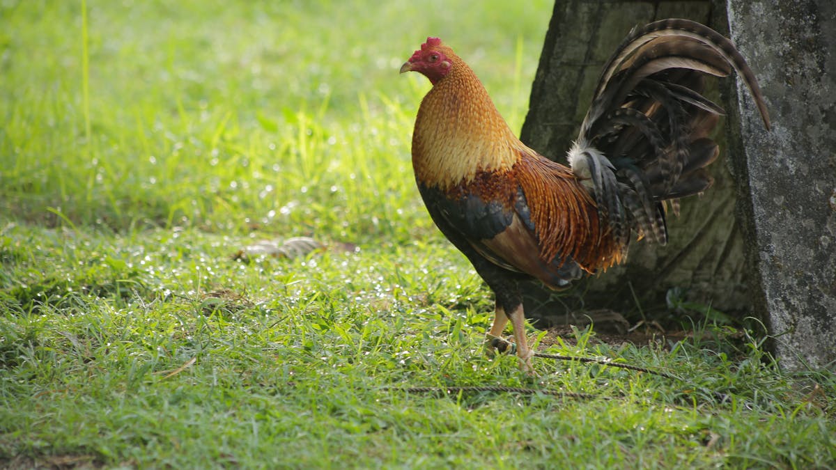 Person wearing patterned socks relaxing with a hot drink