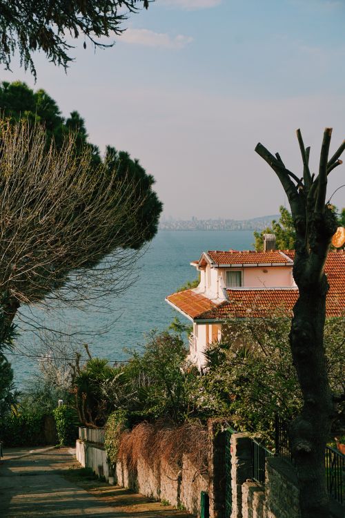 Free Charming coastal house overlooking the ocean, surrounded by lush greenery on a sunny day. Stock Photo