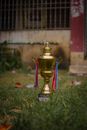 A golden trophy with red and blue ribbons standing on grassy ground.