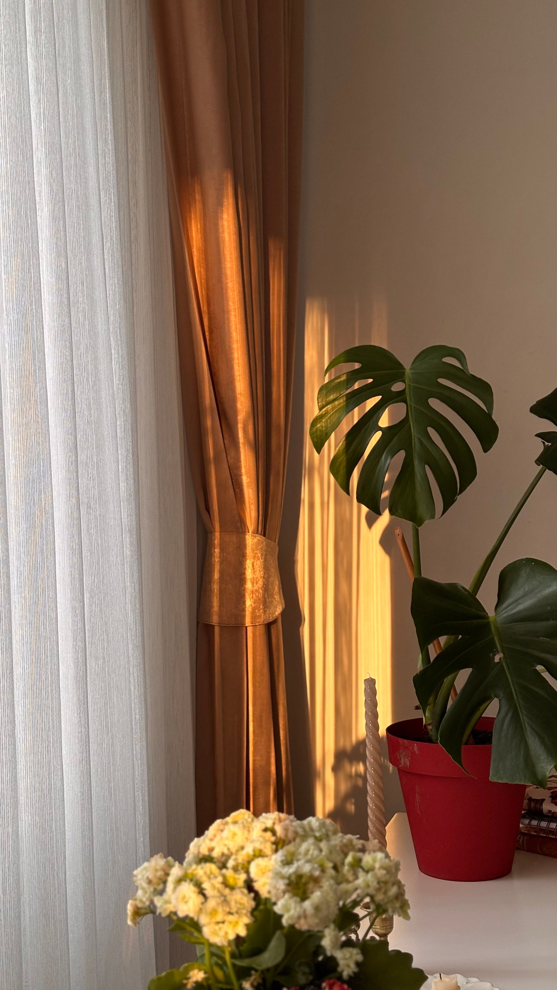 A sunlit monstera plant and floral decor create a warm, inviting interior space.