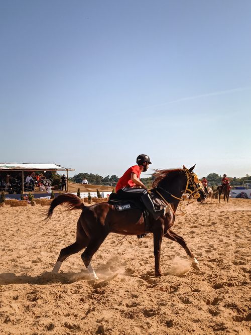 Free Dynamic scene of a horse rider in action at an equestrian event, showcasing speed and skill. Stock Photo