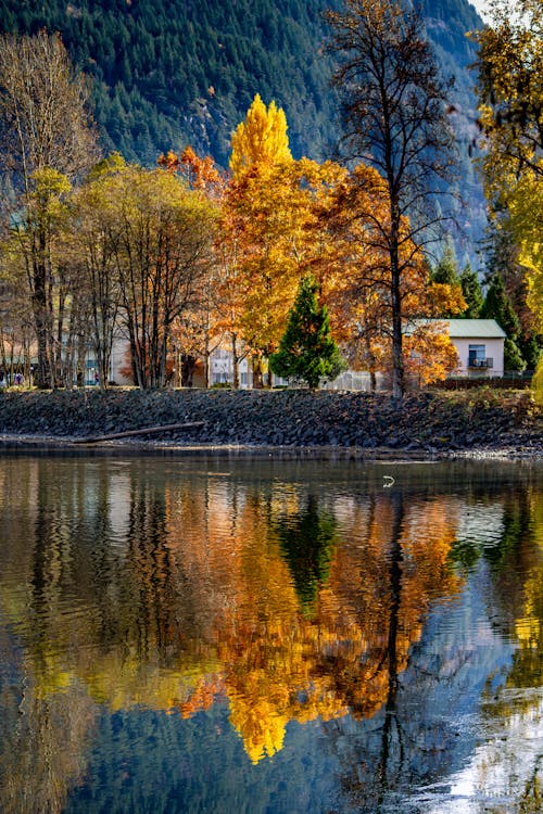 Foto Panorâmica Do Lago Durante O Dia