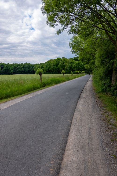 Free Paved country road stretching into lush green landscape under a cloudy sky. Stock Photo