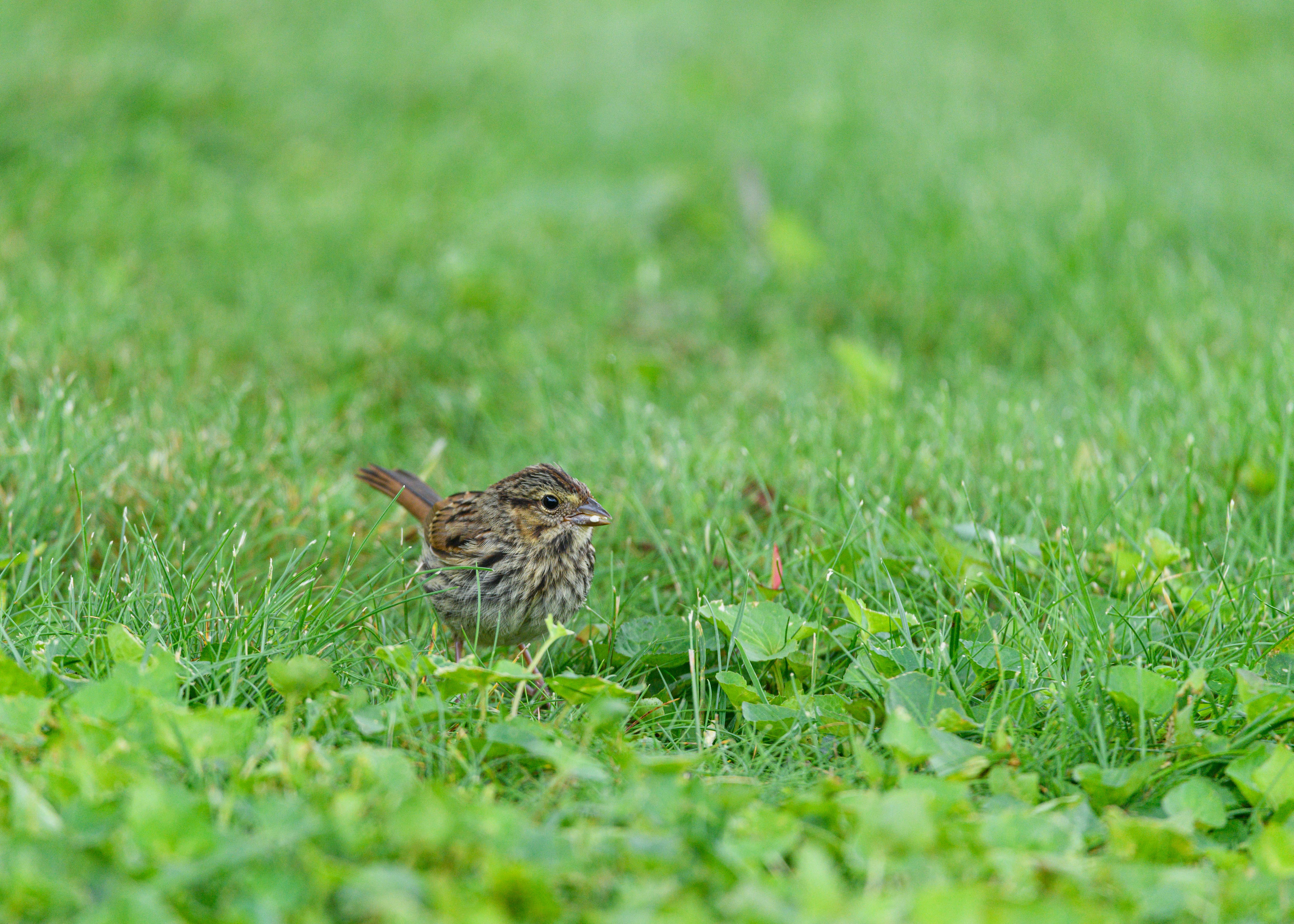 Supercharging Advocacy: Revolutionizing E-Petitions