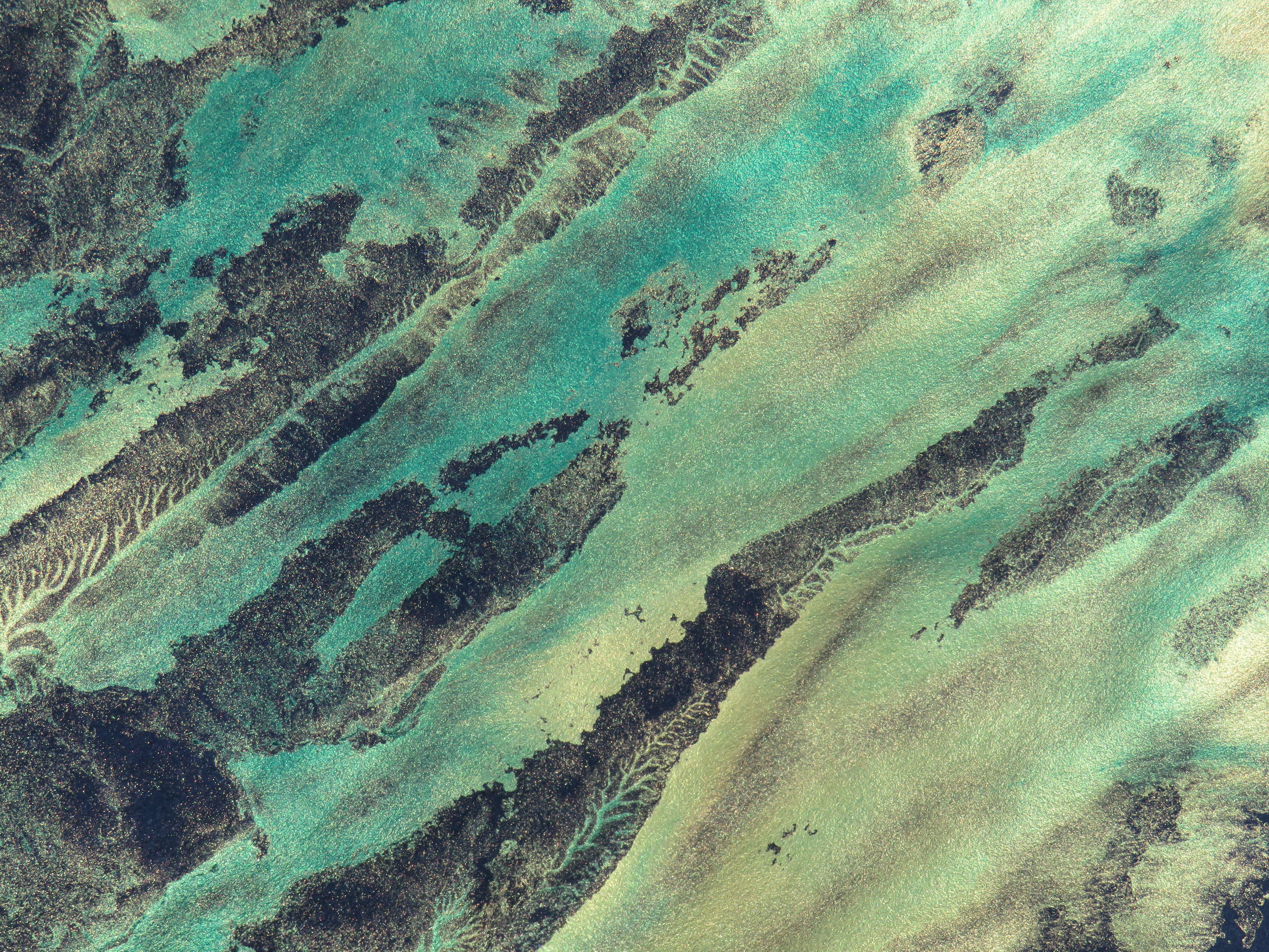 A Turquoise Tint for the Black Sea