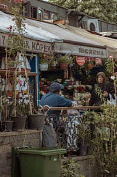 A bustling flower market in Istanbul, showcasing vibrant blooms and everyday interactions.