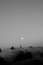 Monochrome Photo of Moon on a Clear Sky