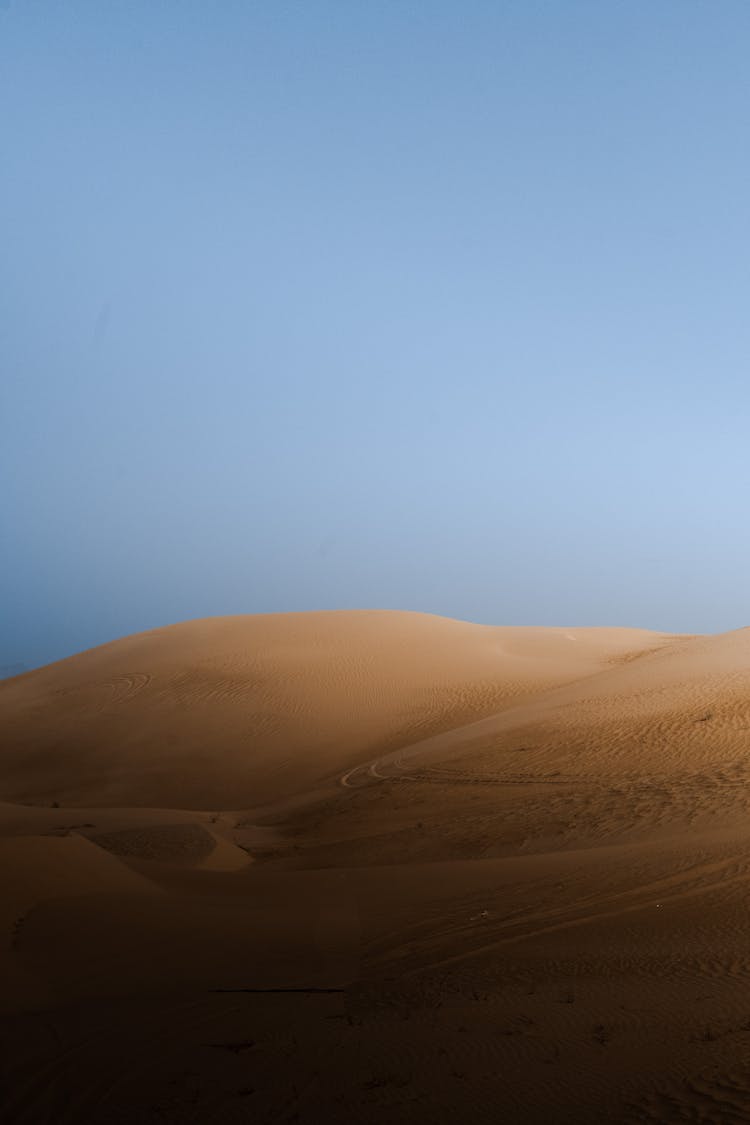 Dunes In Desert