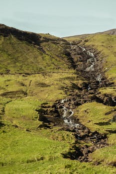 Image by Maksim Smirnov