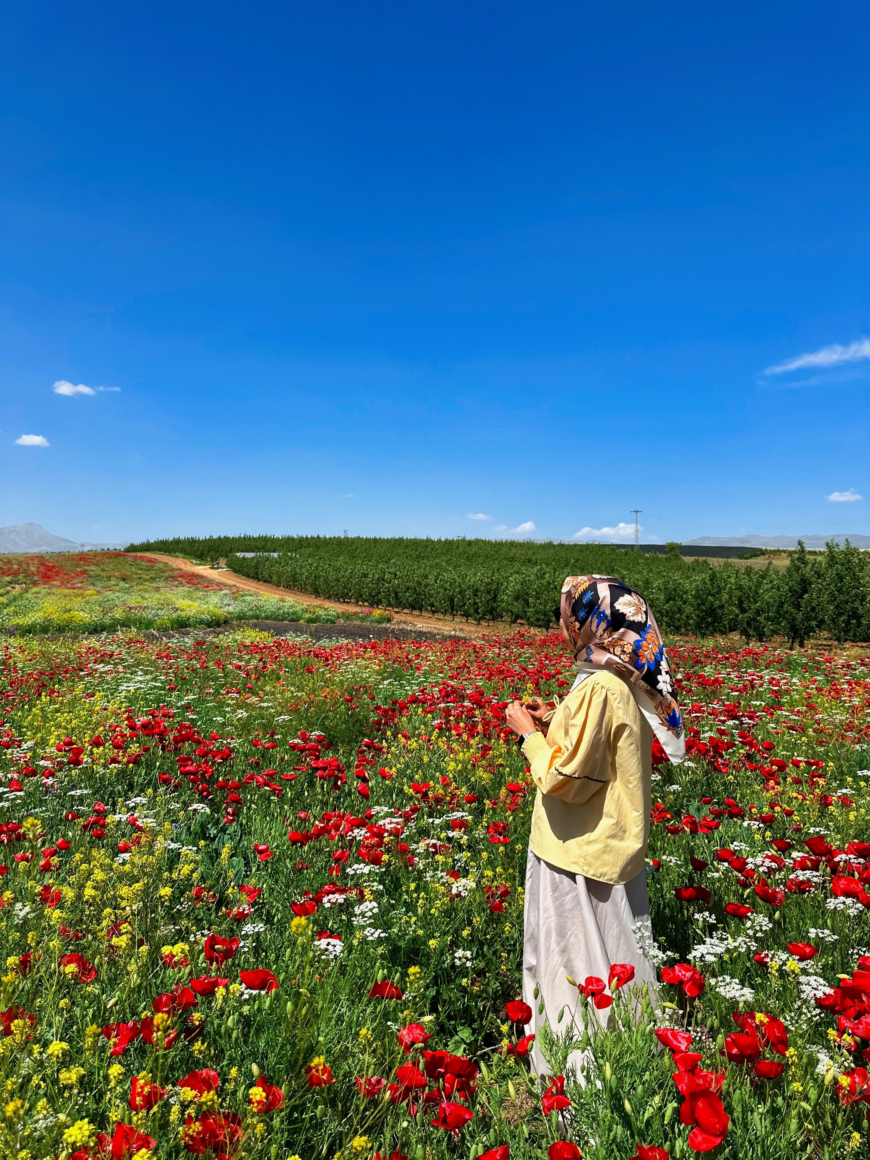 Woman stands in colorful wildflower field under a clear blue sky, embracing nature.