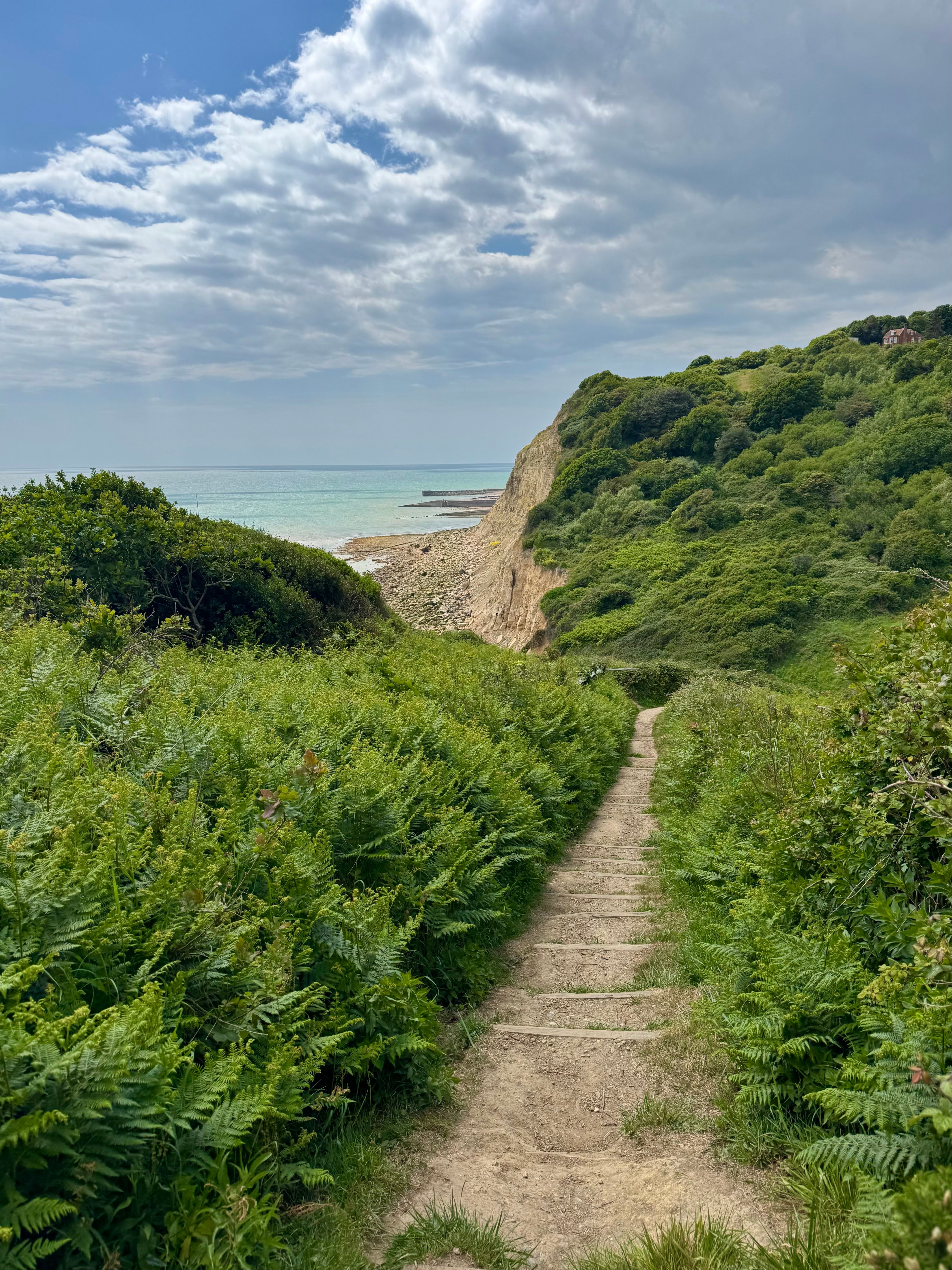 Scenic Coastal Pathway Amidst Lush Greenery · Free Stock Photo