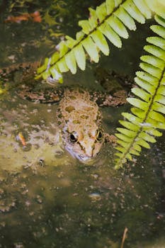 Image by Zeynep Şahin