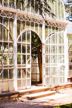 Image by Zeynep Şahin