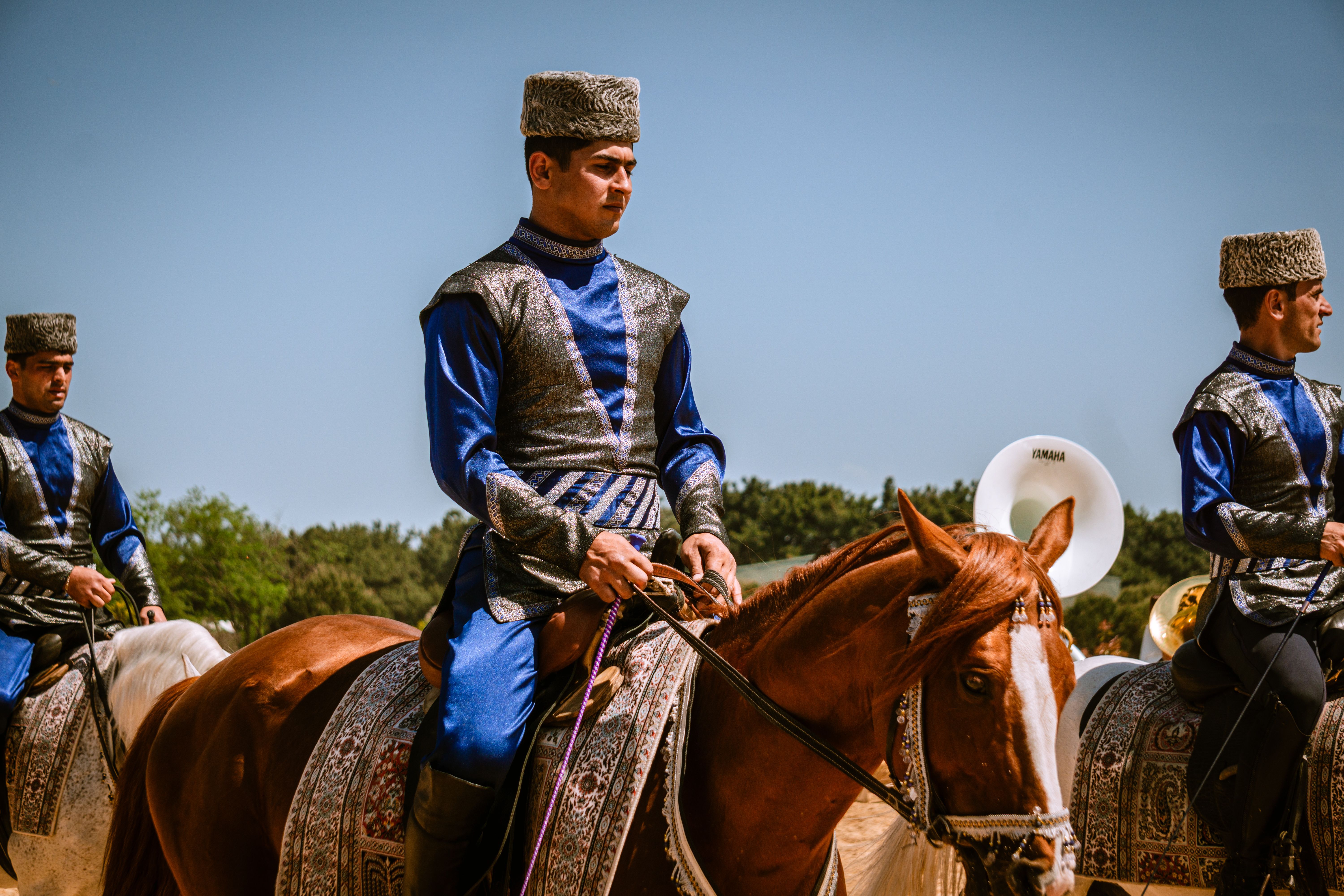 Horses Popiol Ovocie Photos, Download The BEST Free Horses Popiol ...