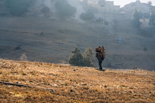 A solitary traveler carries firewood through the serene landscape of Nepal's mountainous terrain.