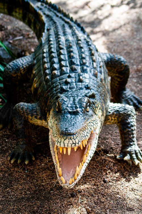 Free Intense close-up of a Nile crocodile with open mouth, revealing sharp teeth, under natural light. Stock Photo