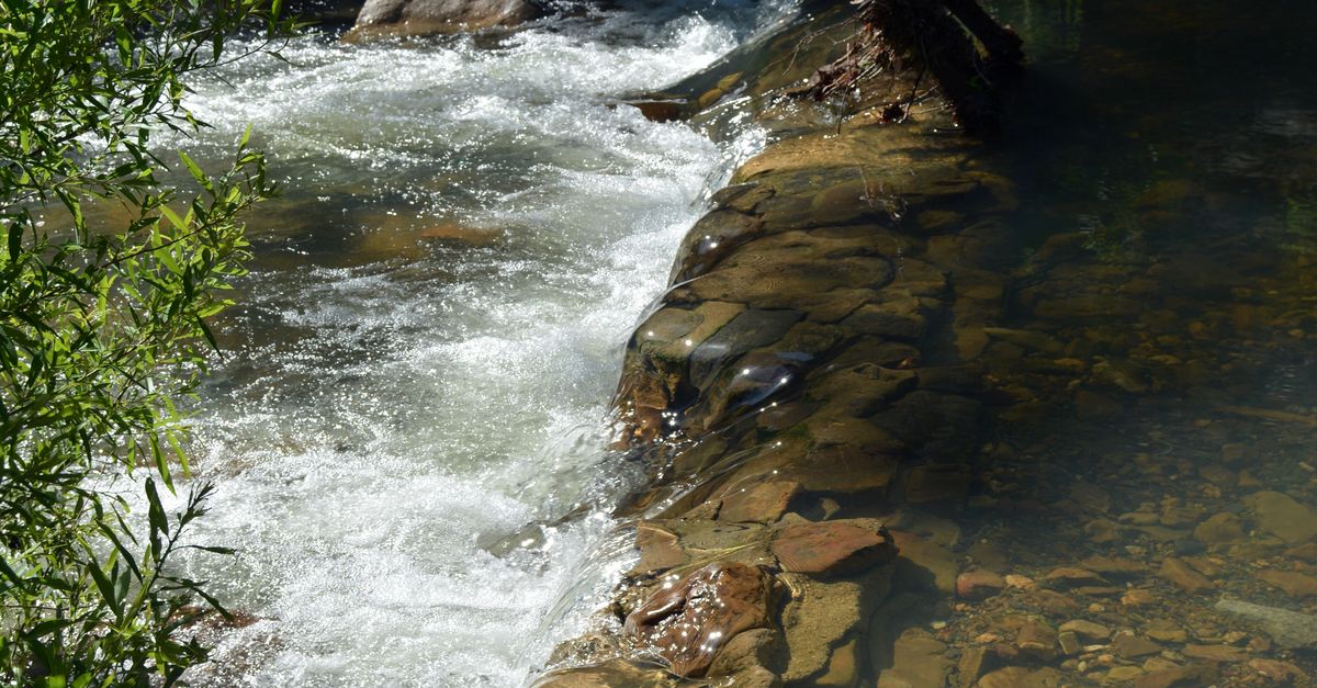 Arkansas Streams Scenic Stream in Hot Springs, Arkansas · Free Stock Photo