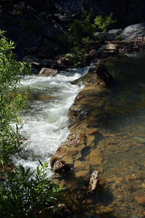 Free Beautiful clear stream cascading over rocks in a serene forest setting, Hot Springs National Park. Stock Photo