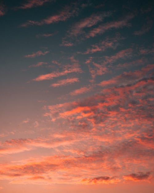 オレンジ色の空, オレンジ色の雲, ティールスカイの無料の写真素材