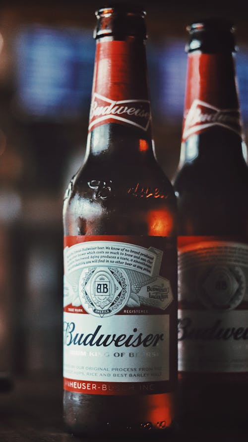 Close-Up Photograph of Bottles of Beer