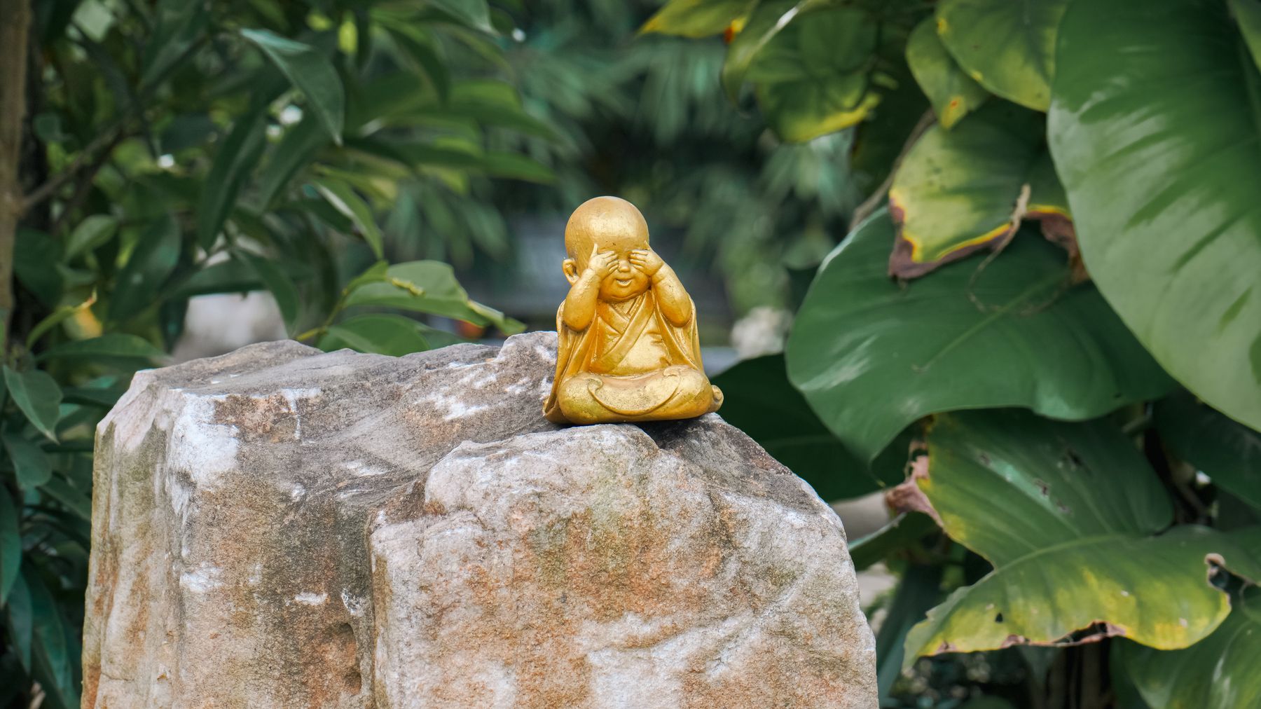 Một bức tượng Phật nhỏ bằng vàng nằm yên bình trên tảng đá giữa tán lá xanh tươi, tượng trưng cho sự thanh tịnh.