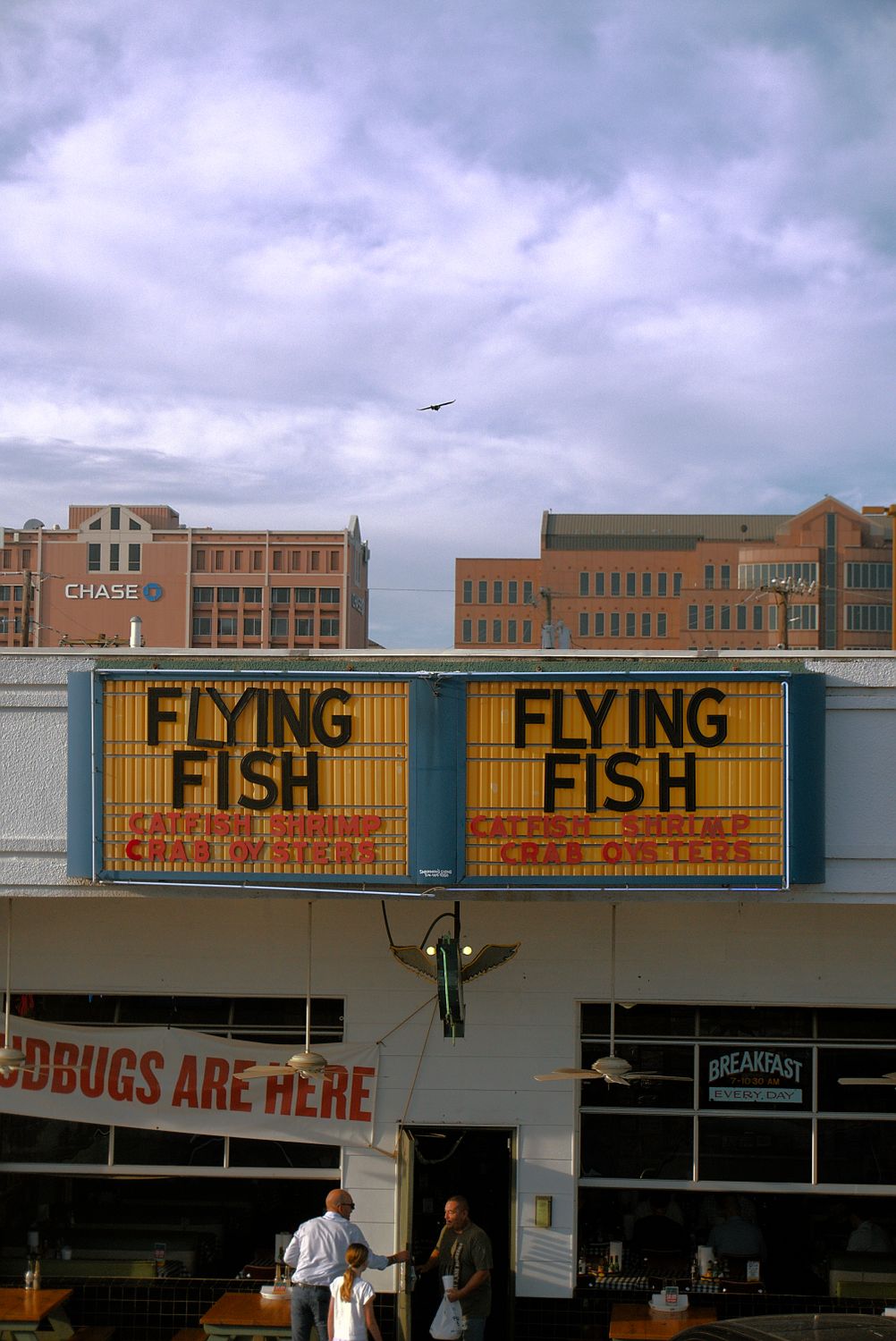 Flying Fish Rest Flying Fish Restaurant in Dallas with Skyline · Free Stock Photo